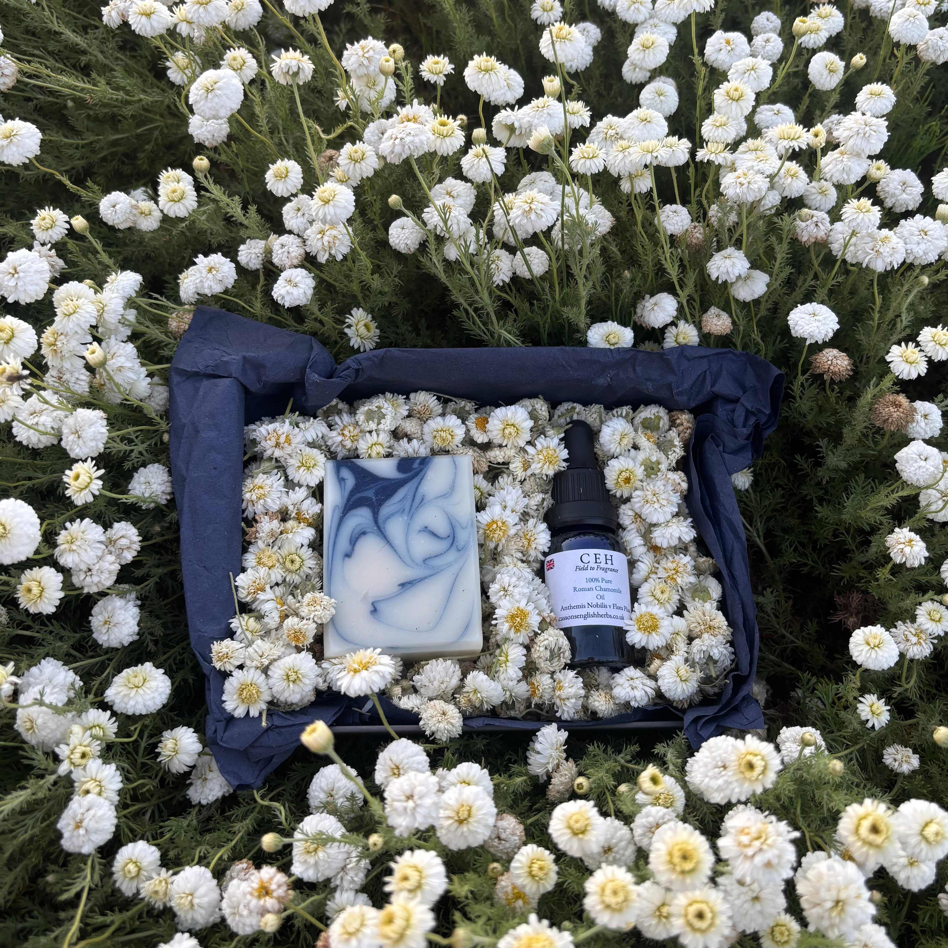 Chamomile Bath Time Set.
