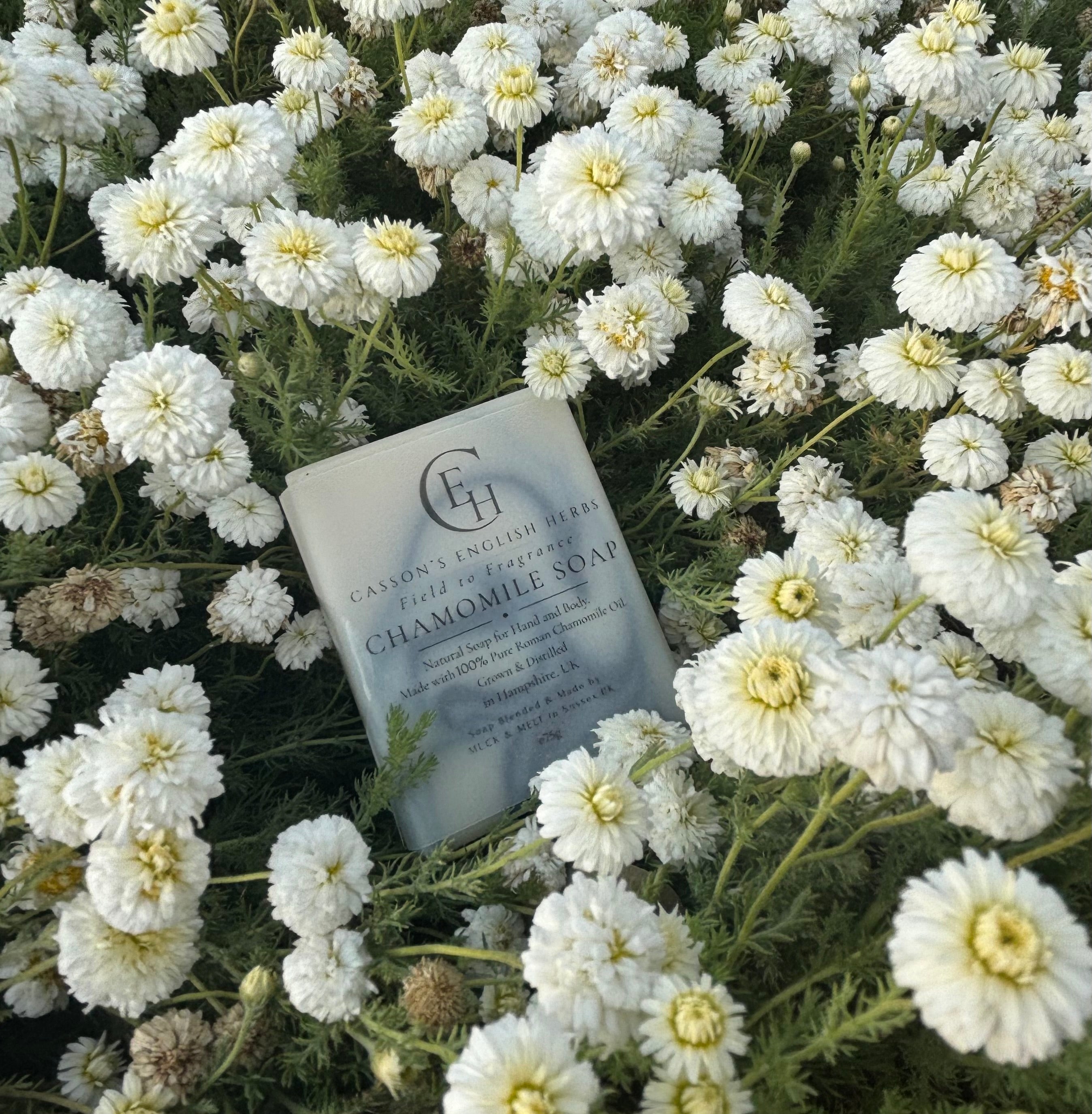 Natural Chamomile Soap - Midi Bar