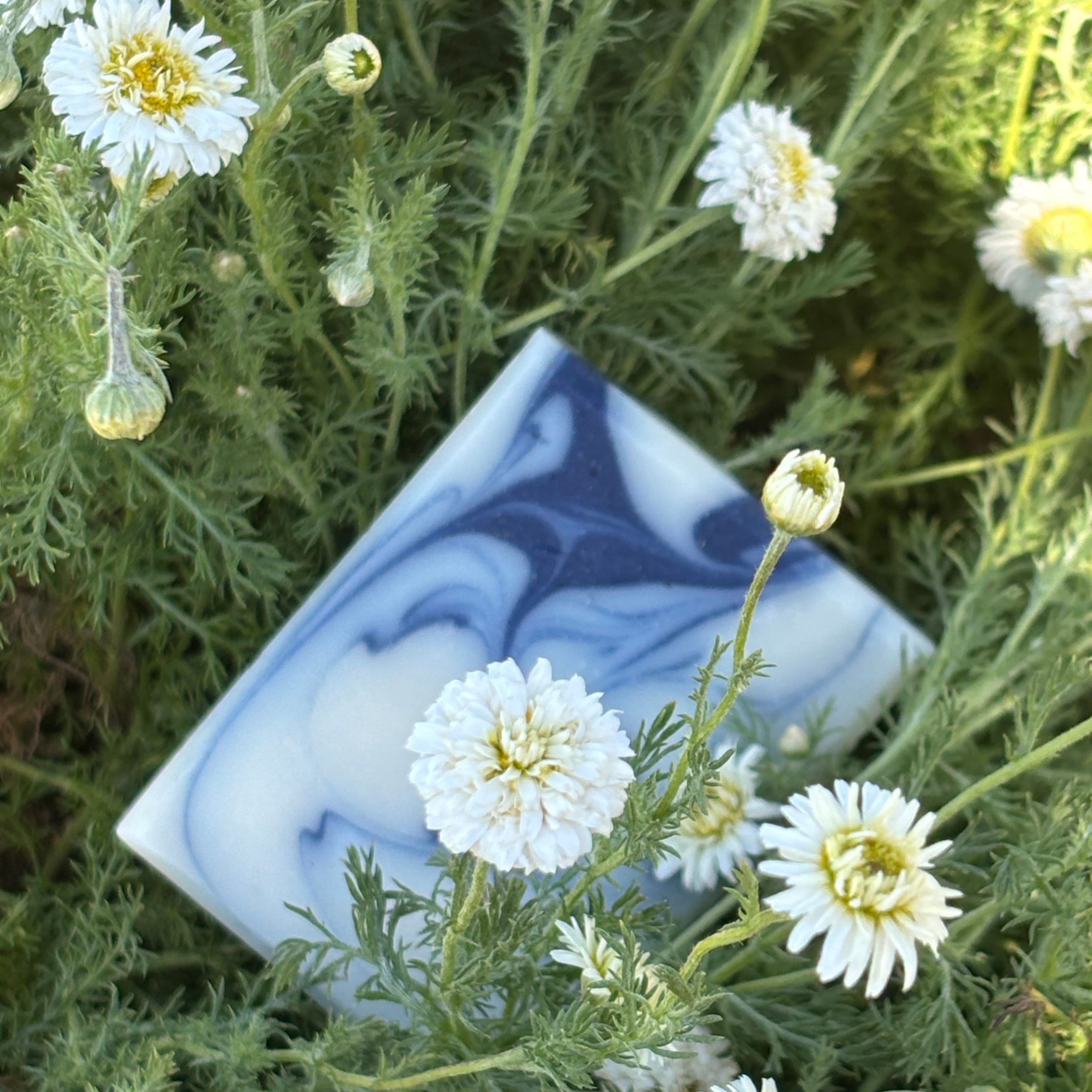 Natural Chamomile Soap - Midi Bar
