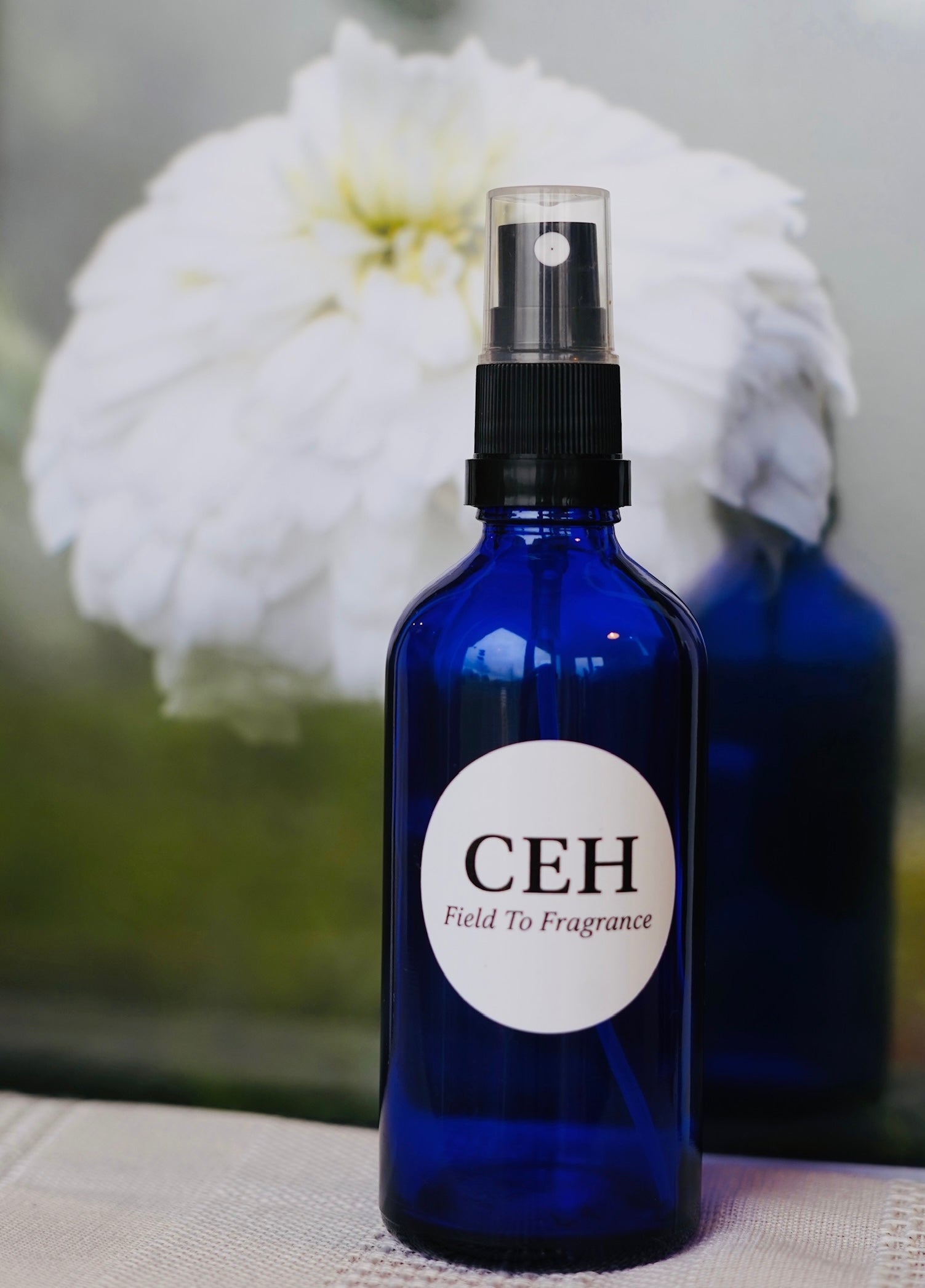 100ml Pure Roman Chamomile Oil