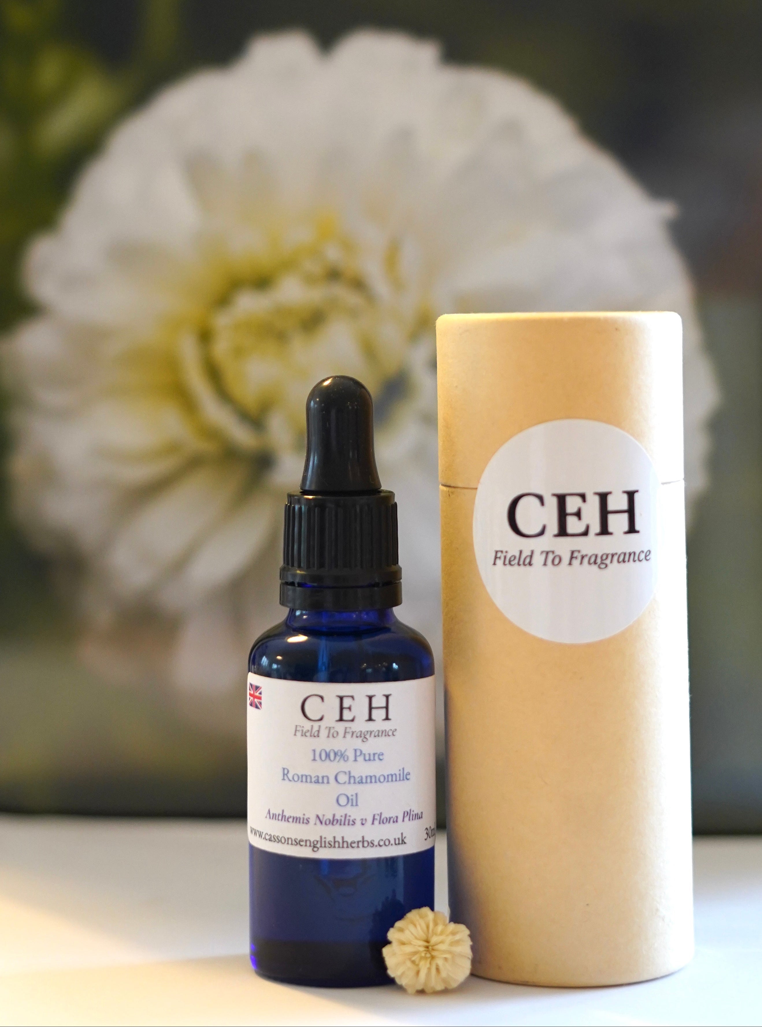 30ml Roman Chamomile Oil