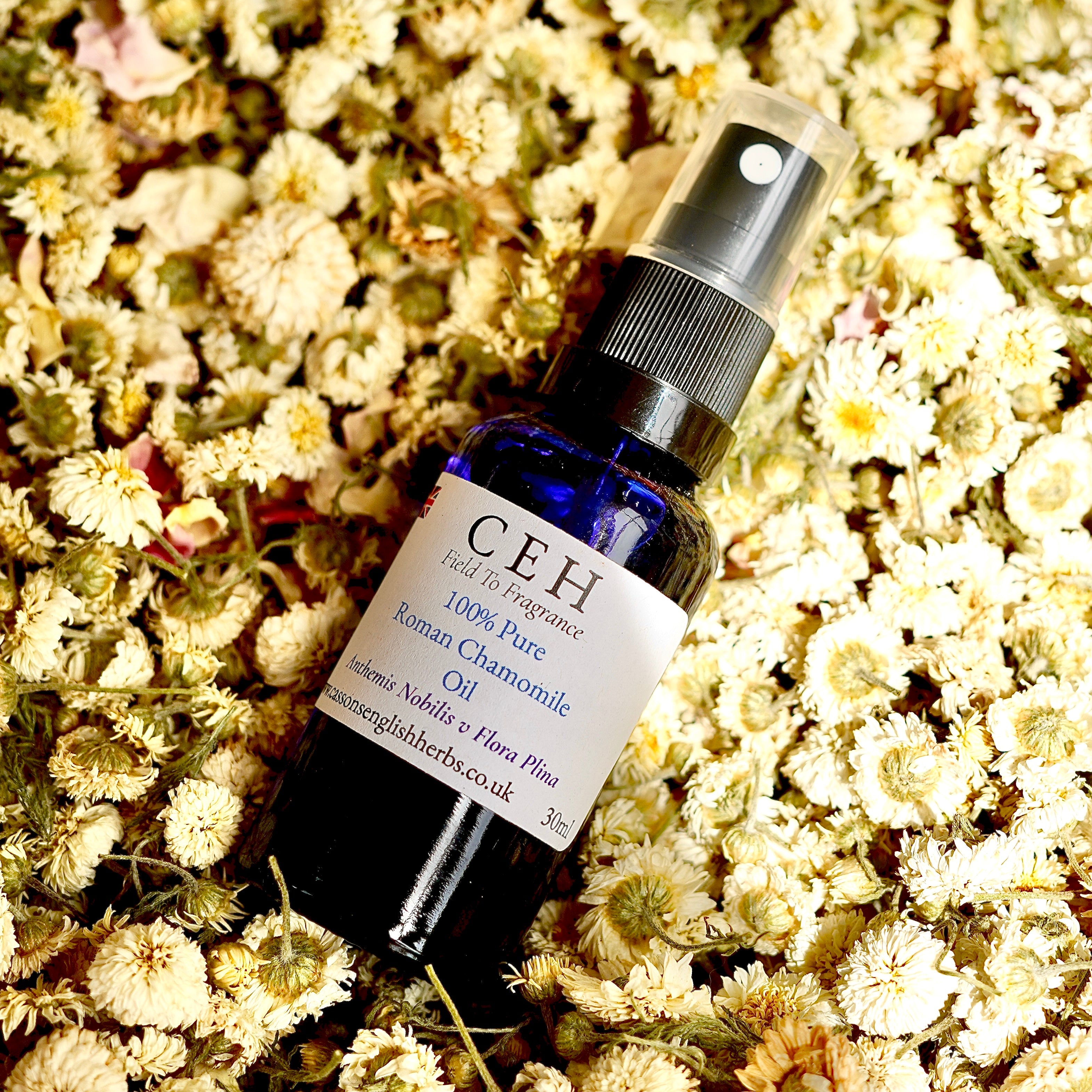 30ml Spritz - Roman Chamomile