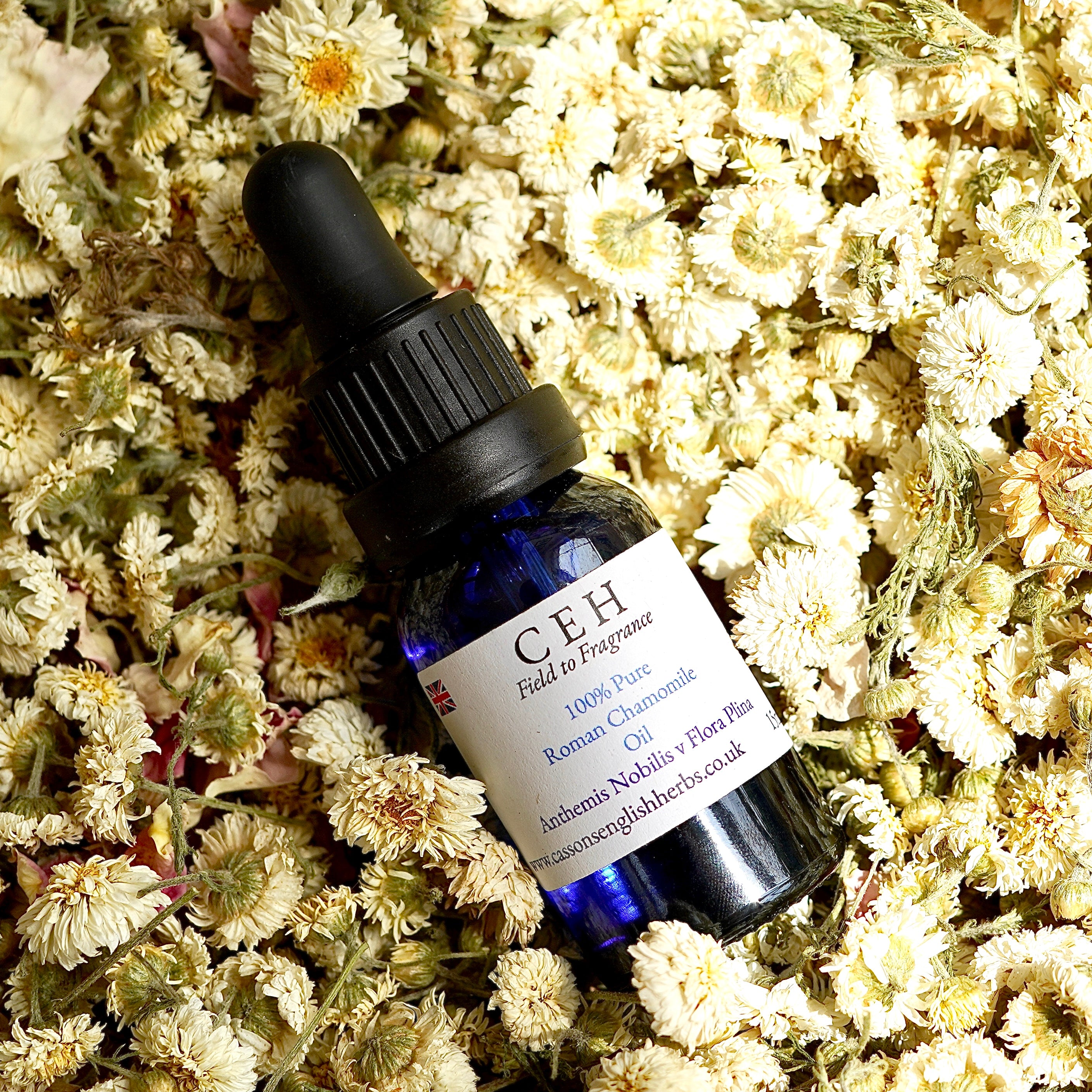 15ml Roman Chamomile Oil