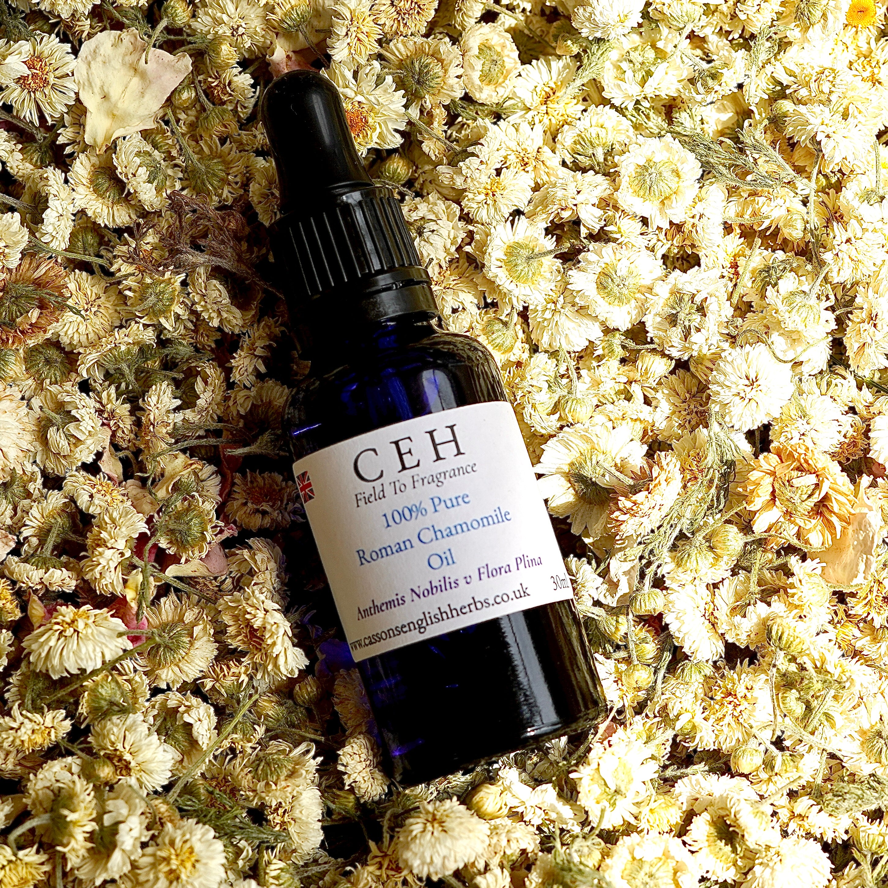30ml Roman Chamomile Oil