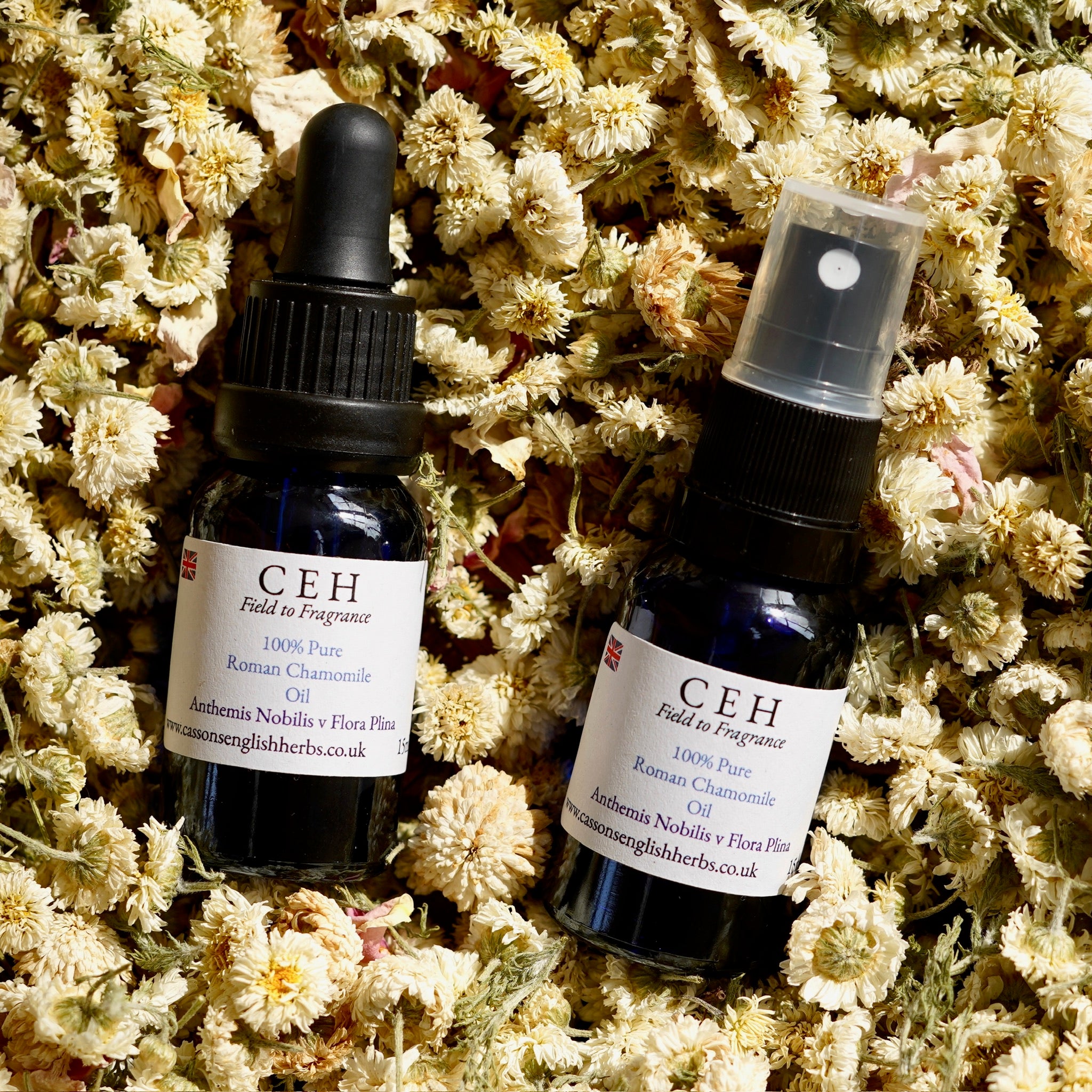 MINI DUO STARTER SET 15ml Spritz & Dropper Duo - Roman Chamomile Oil