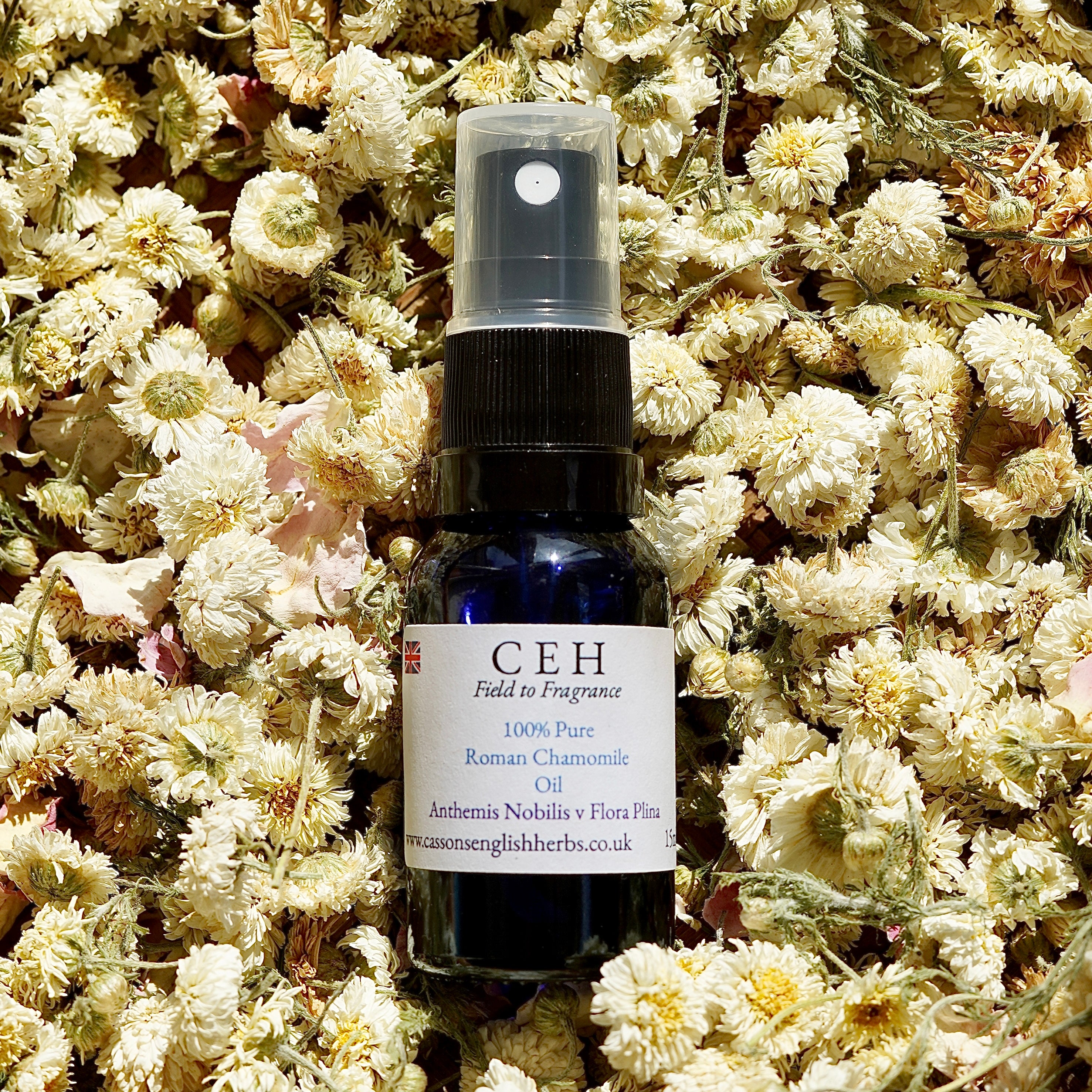 15ml Spritz - Roman Chamomile Oil