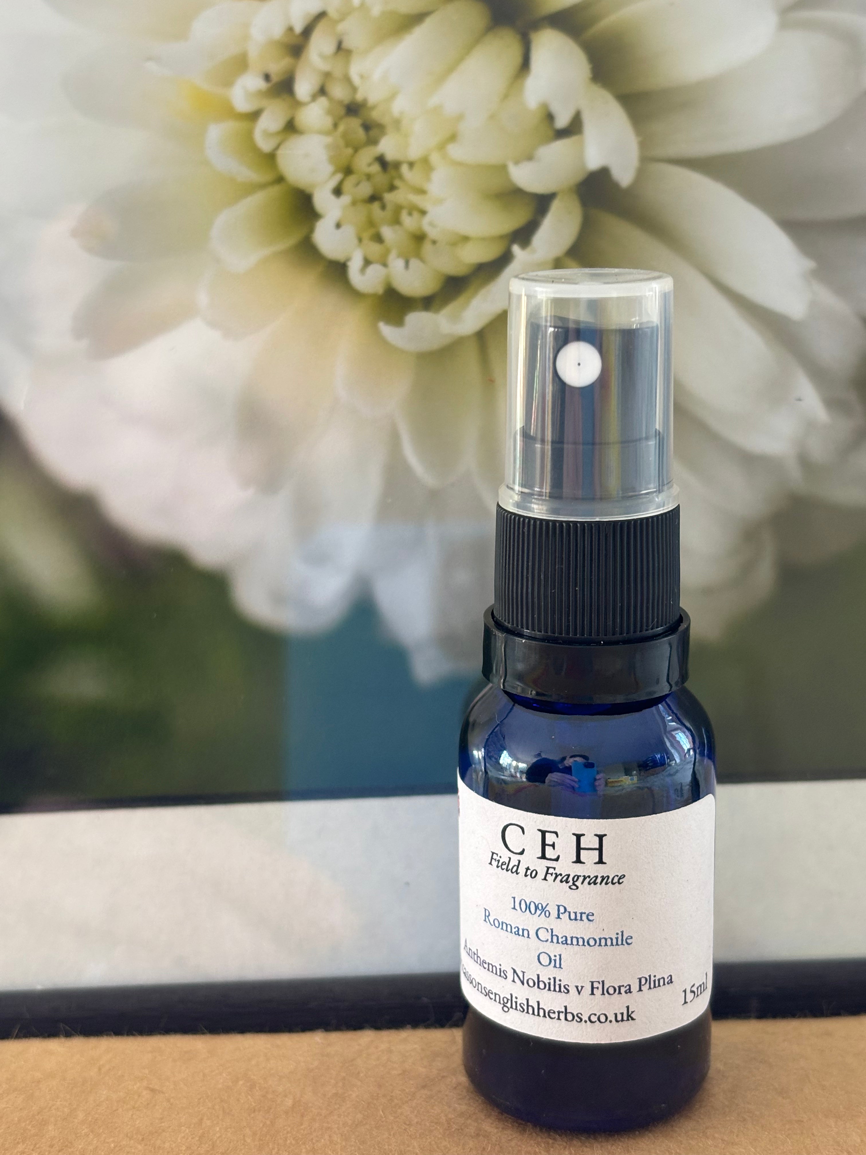 15ml Spritz Lid Roman Chamomile Oil